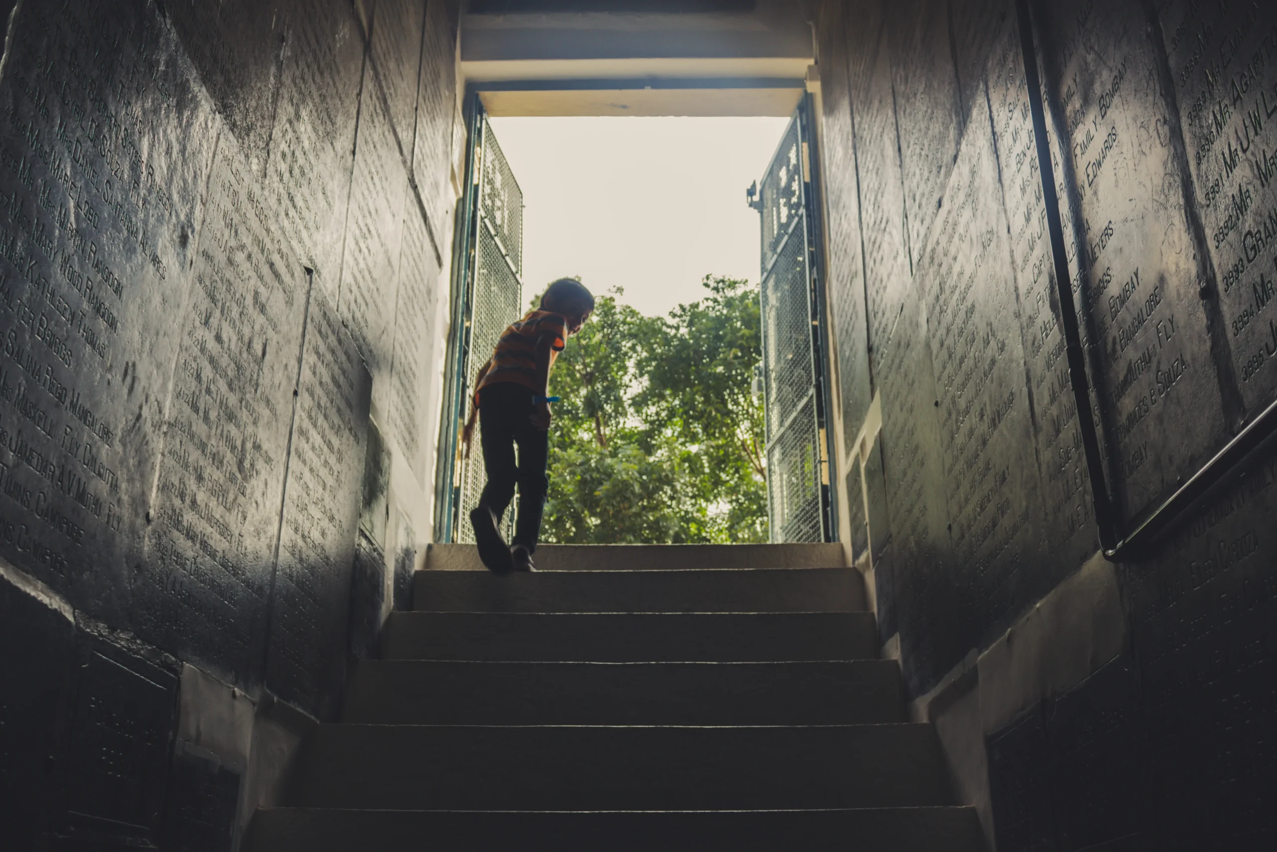 Dangerous Passage and the Mystery of a World That Is Almost Home